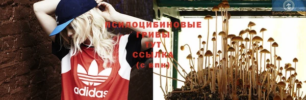 скорость Медвежьегорск