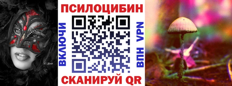 blacksprut зеркало  Сызрань  Псилоцибиновые грибы прущие грибы 